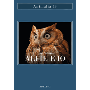 ALFIE E IO. QUELLO CHE I RAPACI SANNO QU