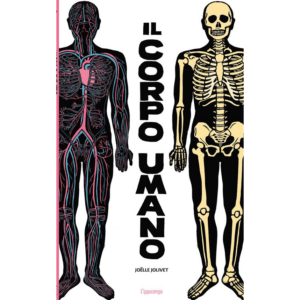 CORPO UMANO. EDIZ. A COLORI (IL)