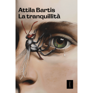 LA TRANQUILLITA'
