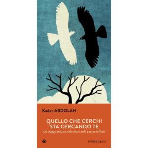 QUELLO CHE CERCHI STA CERCANDO TE. UN VI